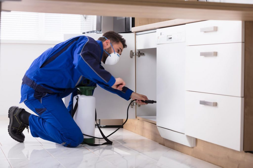 Fumigation Pest Control Services