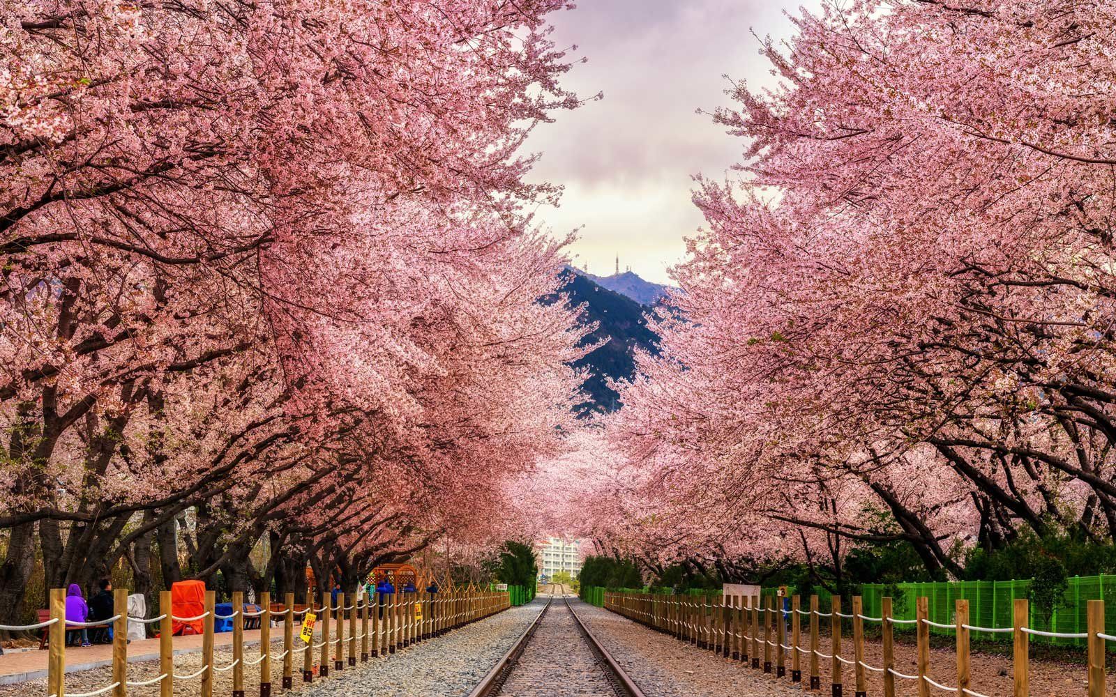South Korea