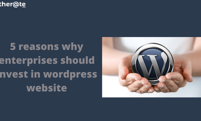 Wordpress Development Services