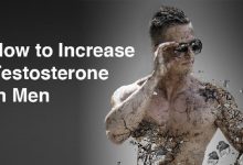 increase testosterone