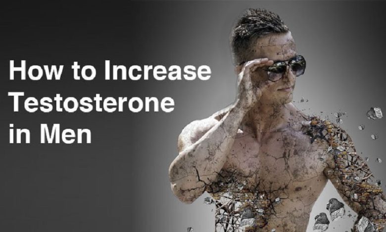 increase testosterone