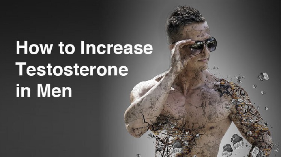 increase testosterone