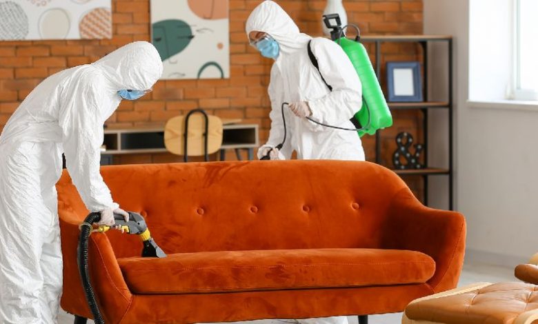 Cleanup