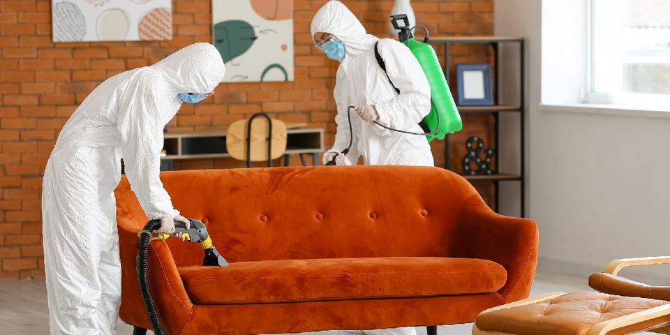 Cleanup