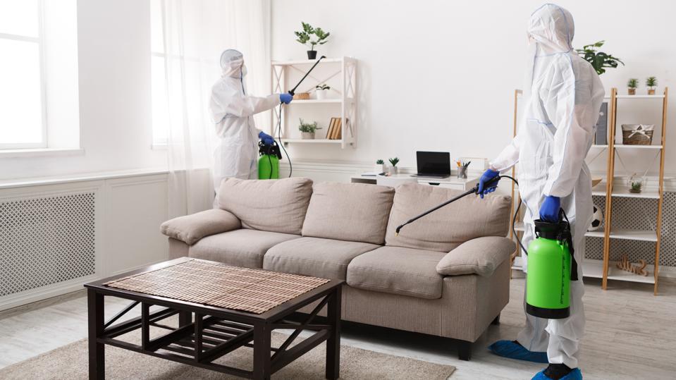 Pest Proofing