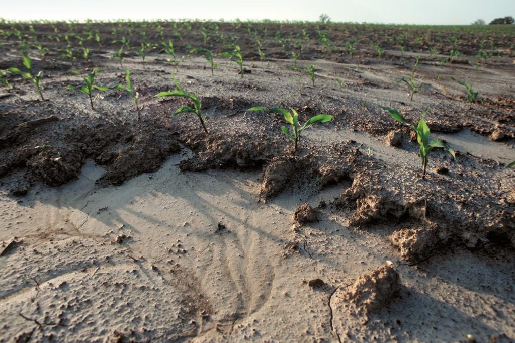 Foundation-Agriculture
